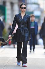 EMILY RATAJKOWSKI Out with Her Dog Colombo in New York 01/19/2020