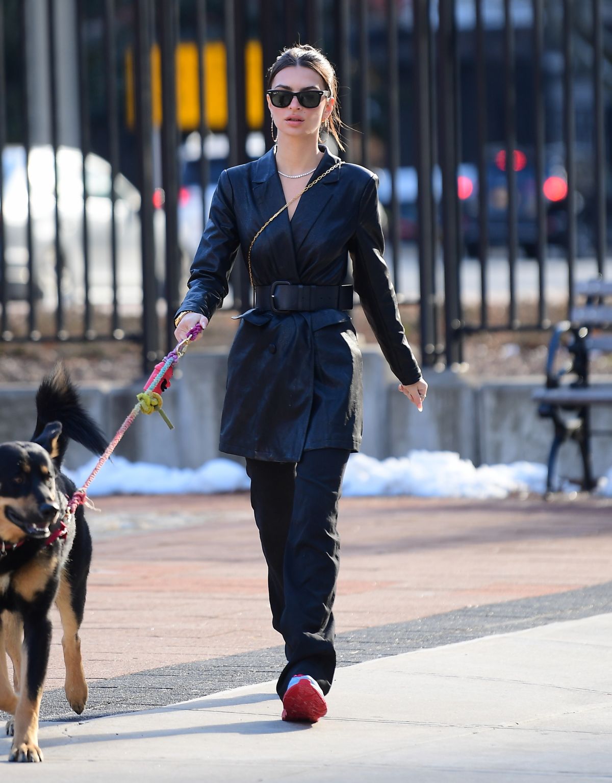 EMILY RATAJKOWSKI Out with Her Dog Colombo in New York 01/19/2020 ...
