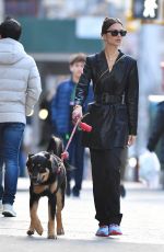 EMILY RATAJKOWSKI Out with Her Dog Colombo in New York 01/19/2020