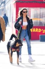 EMILY RATAJKOWSKI Out with Her Dog Colombo in New York 01/24/2020