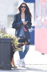 EMILY RATAJKOWSKI Out with Her Dog Colombo in New York 01/24/2020