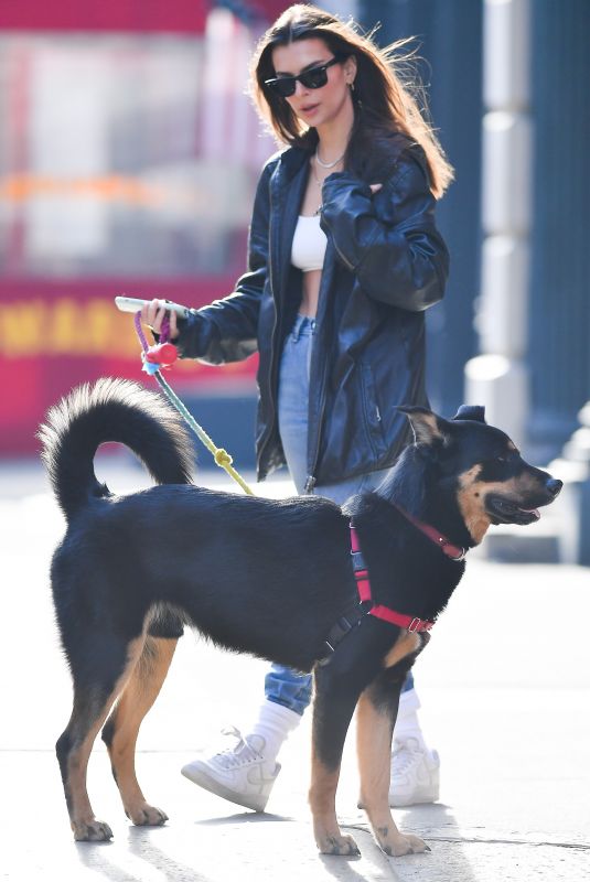 EMILY RATAJKOWSKI Out with Her Dog Colombo in New York 01/24/2020