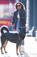 EMILY RATAJKOWSKI Out with Her Dog Colombo in New York 01/24/2020