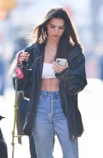EMILY RATAJKOWSKI Out with Her Dog Colombo in New York 01/24/2020
