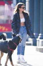 EMILY RATAJKOWSKI Out with Her Dog Colombo in New York 01/24/2020