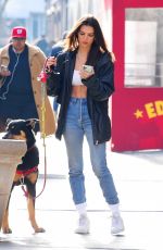 EMILY RATAJKOWSKI Out with Her Dog Colombo in New York 01/24/2020