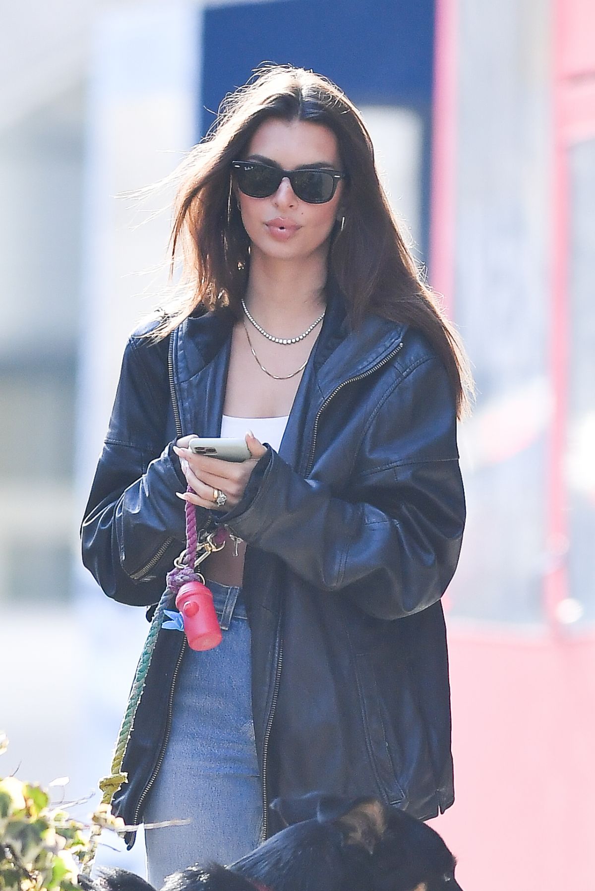 EMILY RATAJKOWSKI Out with Her Dog Colombo in New York 01/24/2020 ...
