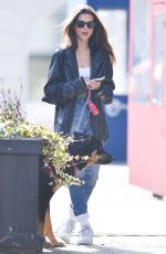 EMILY RATAJKOWSKI Out with Her Dog Colombo in New York 01/24/2020