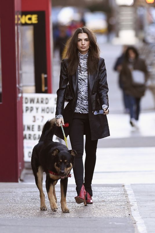 EMILY RATAJKOWSKI Out with Her Dog in New York 01/29/2020