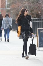 FAMKE JANSSEN Out and About in New York 01/11/2020
