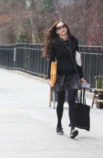 FAMKE JANSSEN Out and About in New York 01/11/2020