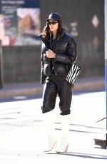 IRINA SHAYK Heading to Her Home in New York 01/29/2020