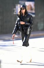 IRINA SHAYK Heading to Her Home in New York 01/29/2020