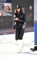 IRINA SHAYK Heading to Her Home in New York 01/29/2020