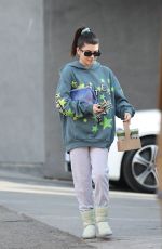 ISABELLA ROSE Out and About in West Hollywood 01/11/2020