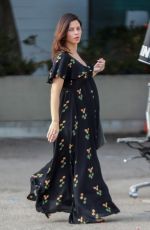 JENNA DEWAN Out Shopping in Los Angeles 01/02/2020