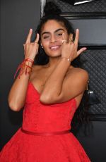 JESSIE REYEZ at 62nd Annual Grammy Awards in Los Angeles 01/26/2020