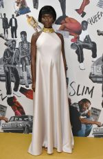 JODIE TURNER-SMITH at Queen & Slim Premiere in London 01/28/2020