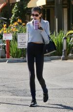 KAIA GERBER Out for Smoothie in Malibu 01/28/2020