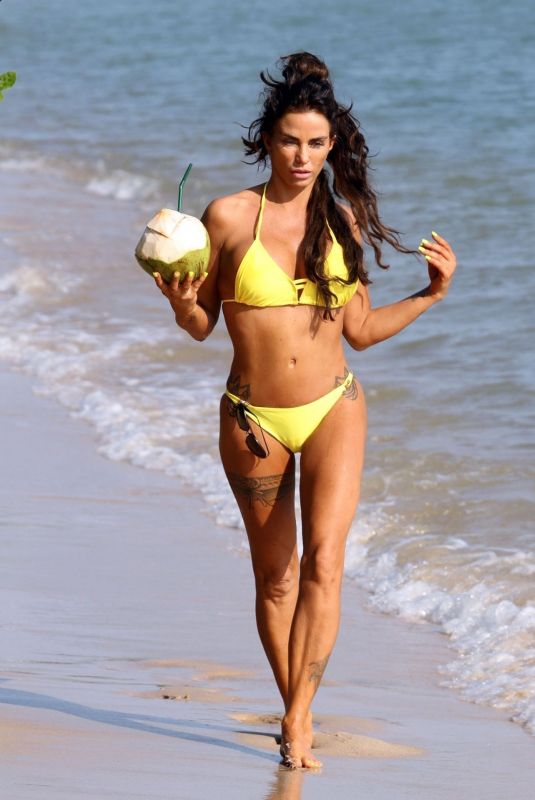 KATIE PRICE in Bikini at a Beach in Thailand 01/07/2020