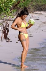 KATIE PRICE in Bikini at a Beach in Thailand 01/07/2020