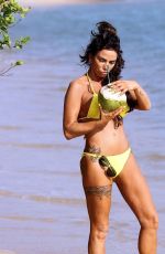 KATIE PRICE in Bikini at a Beach in Thailand 01/07/2020