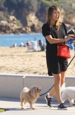 KELLY DODD Out with Her Dogs in Laguna Beach 12/27/2019