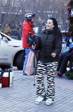 KYLE RICHARDS Out and About in Aspen 12/26/2019