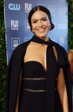 MANDY MOORE at 25th Annual Critics Choice Awards in Santa Monica 01/12/2020
