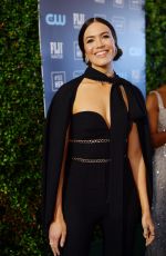 MANDY MOORE at 25th Annual Critics Choice Awards in Santa Monica 01/12/2020