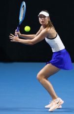 MARIA SHARAPOVA at 2020 Brisbane International in Queensland 01/07/2020