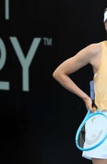 MARIA SHARAPOVA at 2020 Brisbane International Previews 12/31/2019