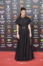 MARIBEL VERDU at 34th Goya Cinema Awards 2020 in Madrid 01/25/2020