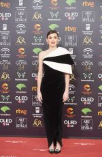 MARTA NIETO at 34th Goya Cinema Awards 2020 in Madrid 01/25/2020