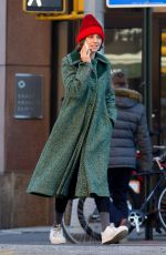 MAYA HAWKE Leaves a Gym in New York 01/22/2020