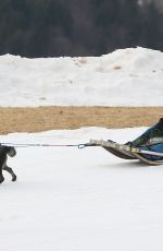 MICHELLE HUNZIKER on the Dog Sled in Sauris 01/25/2020
