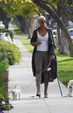 NICOLE MURPHY Out with Her Dogs in Los Angeles 01/03/2020