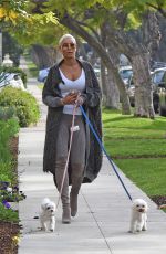 NICOLE MURPHY Out with Her Dogs in Los Angeles 01/03/2020