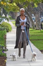 NICOLE MURPHY Out with Her Dogs in Los Angeles 01/03/2020