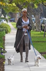 NICOLE MURPHY Out with Her Dogs in Los Angeles 01/03/2020