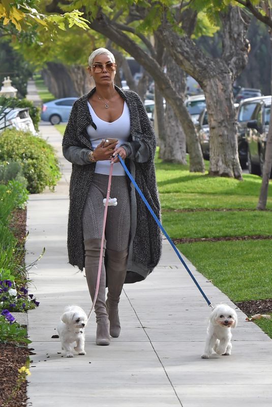 NICOLE MURPHY Out with Her Dogs in Los Angeles 01/03/2020