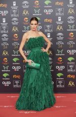 NIEVES ALVAREZ at 34th Goya Cinema Awards 2020 in Madrid 01/25/2020