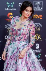 PENELOPE CRUZ at 34th Goya Cinema Awards 2020 in Madrid 01/25/2020