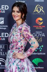 PENELOPE CRUZ at 34th Goya Cinema Awards 2020 in Madrid 01/25/2020
