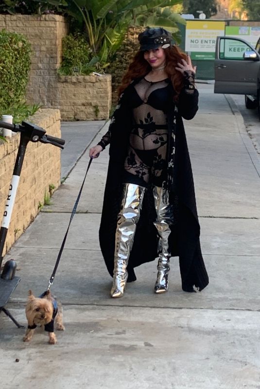 PHOEBE PRICE Out with Her Dog in Los Angeles 01/22/2020