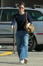 RACHEL BILSON Out Shopping in Los Angeles 01/02/2020