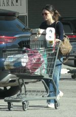 RACHEL BILSON Out Shopping in Los Angeles 01/02/2020