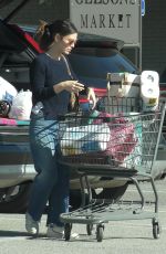 RACHEL BILSON Out Shopping in Los Angeles 01/02/2020