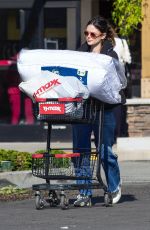 RACHEL BILSON Out Shopping in Los Angeles 01/02/2020