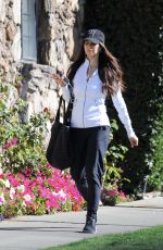 ROSELYN SANCHEZ Out and About in Los Angeles 01/24/2020